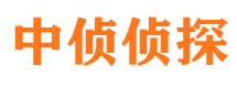 武川婚外情调查